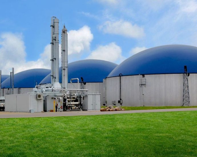 Solusi Energi Biogas Yang Ramah Lingkungan Untuk Masa Depan