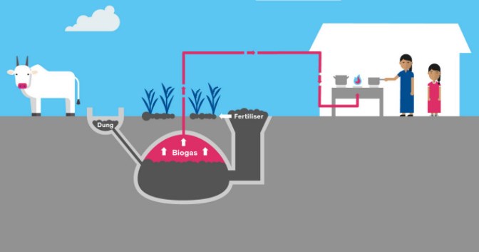 Teknologi Biogas Untuk Produksi Energi Berkelanjutan