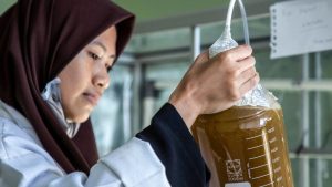 Biodiesel Indonesia Diharapkan Dapat Mengurangi Emisi Gas