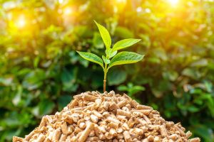 Energi Biomassa beserta Manfaatnya