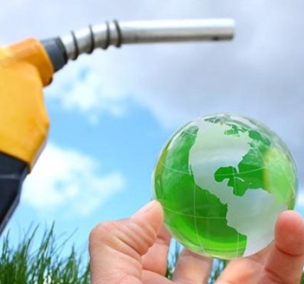 Biodiesel Memimpin Revolusi Energi Terbarukan