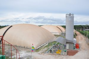 Pembangkit Biogas dan Pengoperasiannya