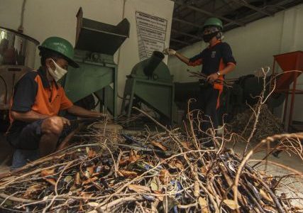 Jadilah Bagian Dari Energi Biomassa Generasi Berikutnya