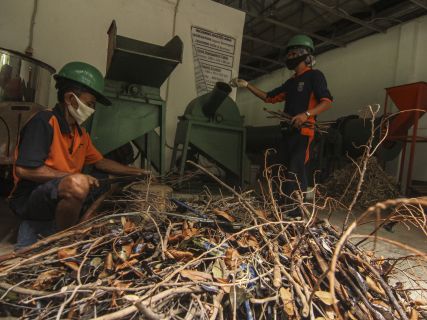 Jadilah Bagian Dari Energi Biomassa Generasi Berikutnya