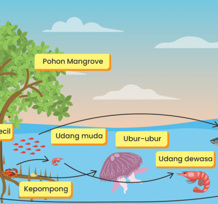 Energi dalam Ekosistem