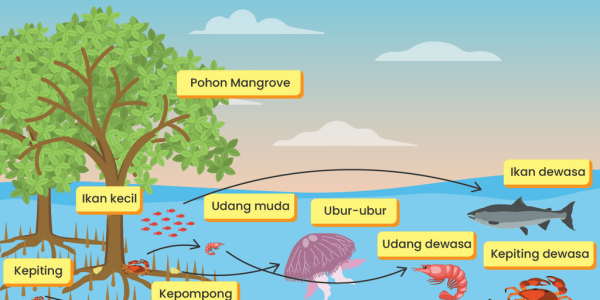 Energi dalam Ekosistem