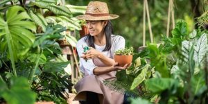 Manfaat Energi Matahari Bagi Tumbuhan 