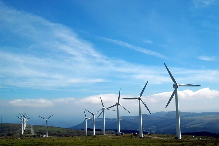 Kelebihan dan Kekurangan Energi Angin