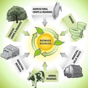 Keunggulan Transformasi Energi Biomassa