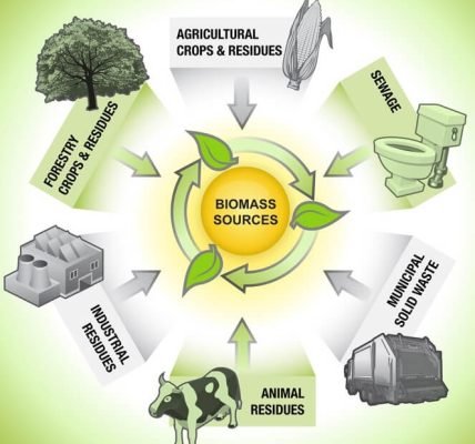 Keunggulan Transformasi Energi Biomassa
