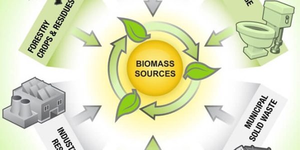 Keunggulan Transformasi Energi Biomassa
