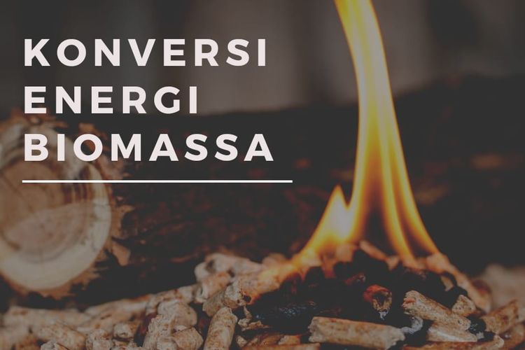Konversi Energi Biomassa