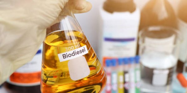 6 Manfaat Biodiesel dalam Kehidupan