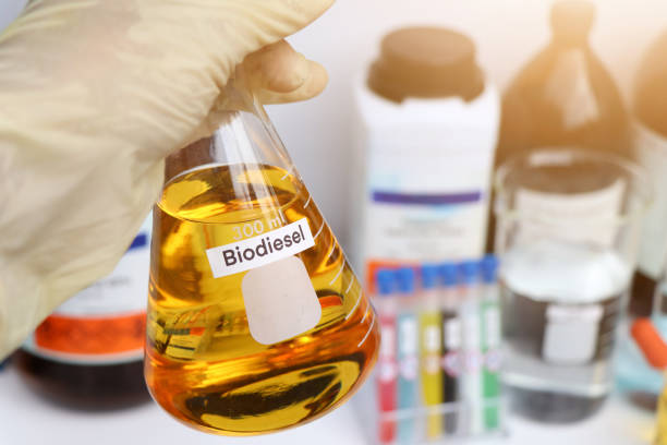 6 Manfaat Biodiesel dalam Kehidupan