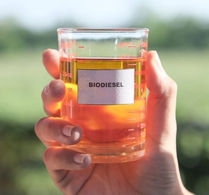 Pengertian Biodiesel dan Contohnya