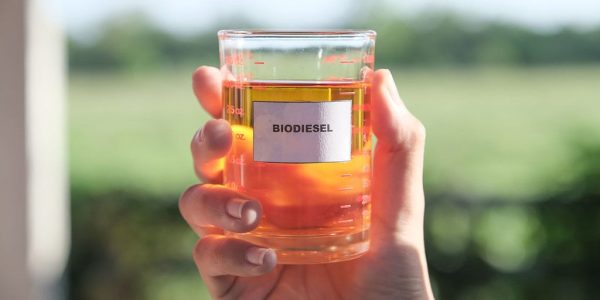 Pengertian Biodiesel dan Contohnya